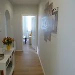 Braun *